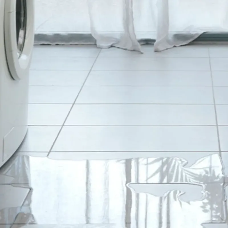 Appliance Leak Cleanup in Bridgeport, MI