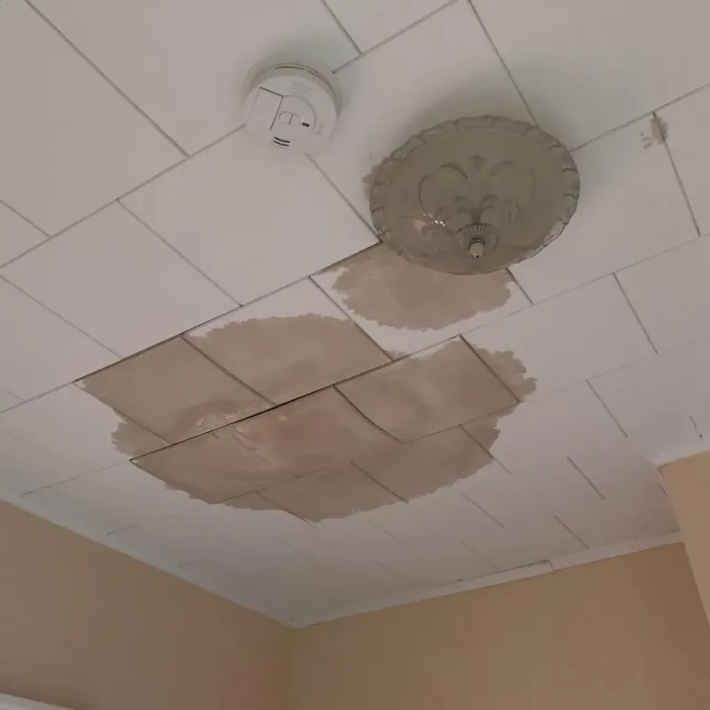Ceiling Water Damage Repair in Bridgeport, MI