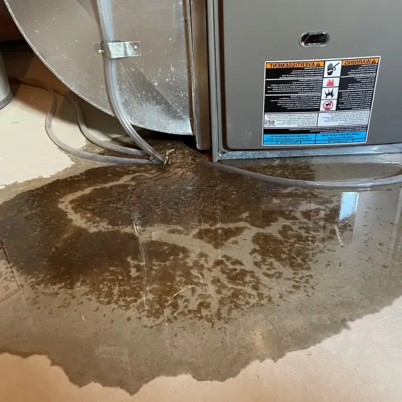 Pipe Burst and Leak Restoration in Bridgeport, MI