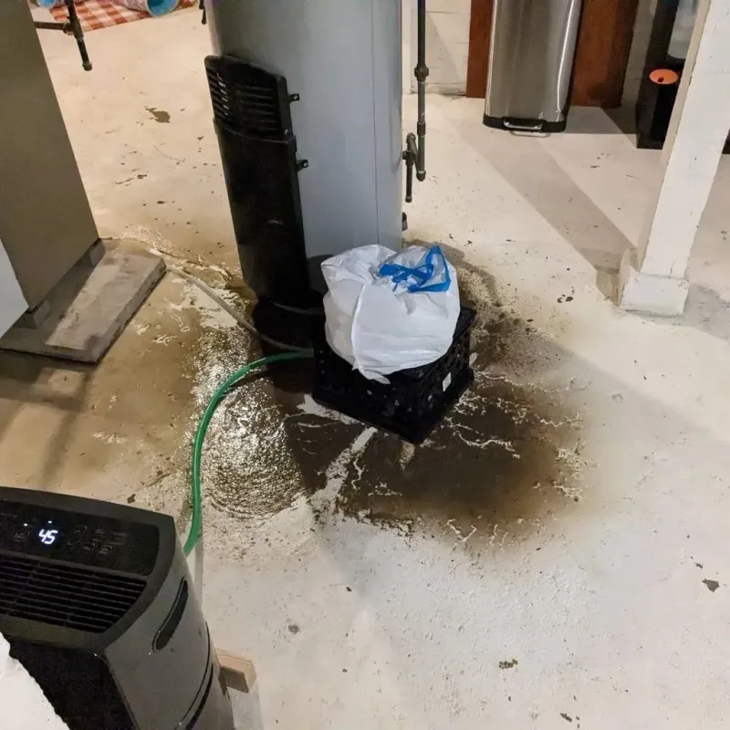 Sewage Backup Cleanup Service in Bridgeport, MI